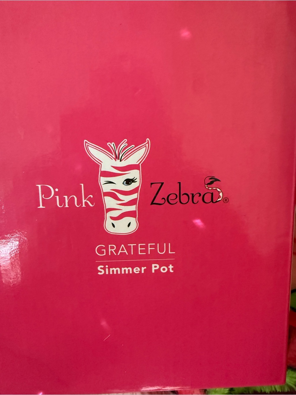Pink Zebra Hot Pink & White Grateful Simmer Pot Box